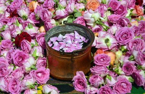 Rose Festival in Kazanlak 2025